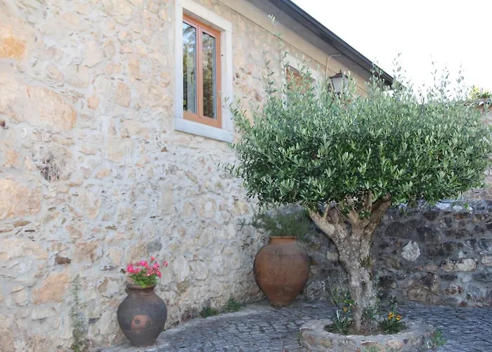 Acolina