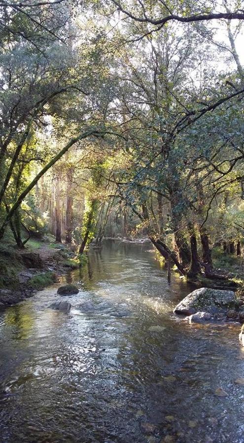 Acolina Aguda (Leiria)