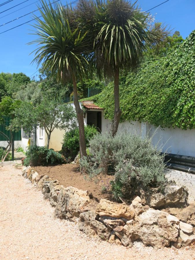 Acolina Holiday home *