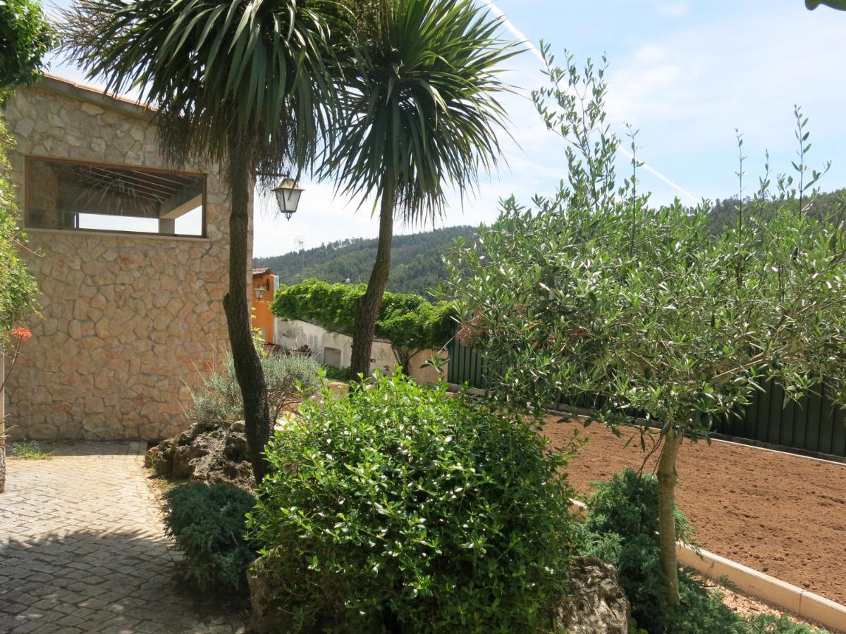 Acolina Aguda (Leiria)