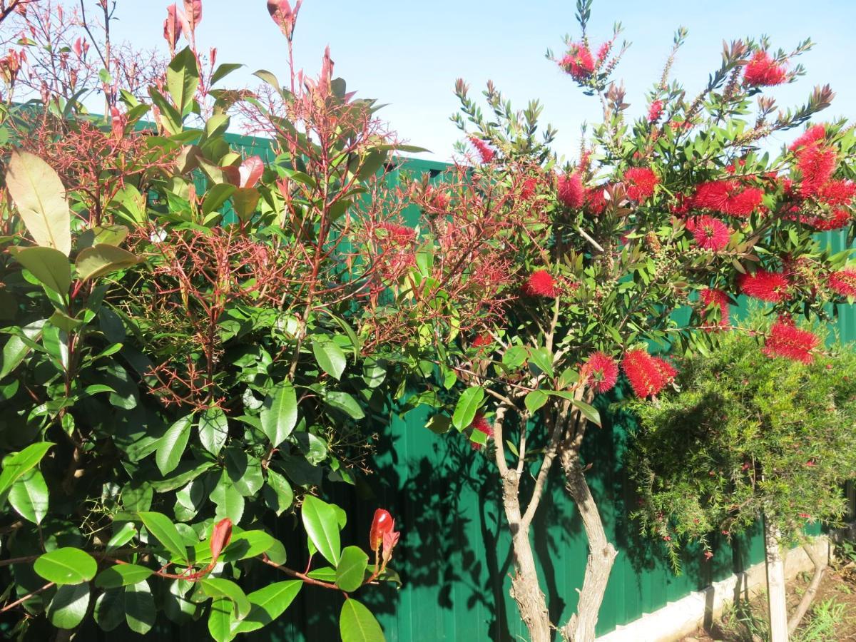 Holiday home Acolina