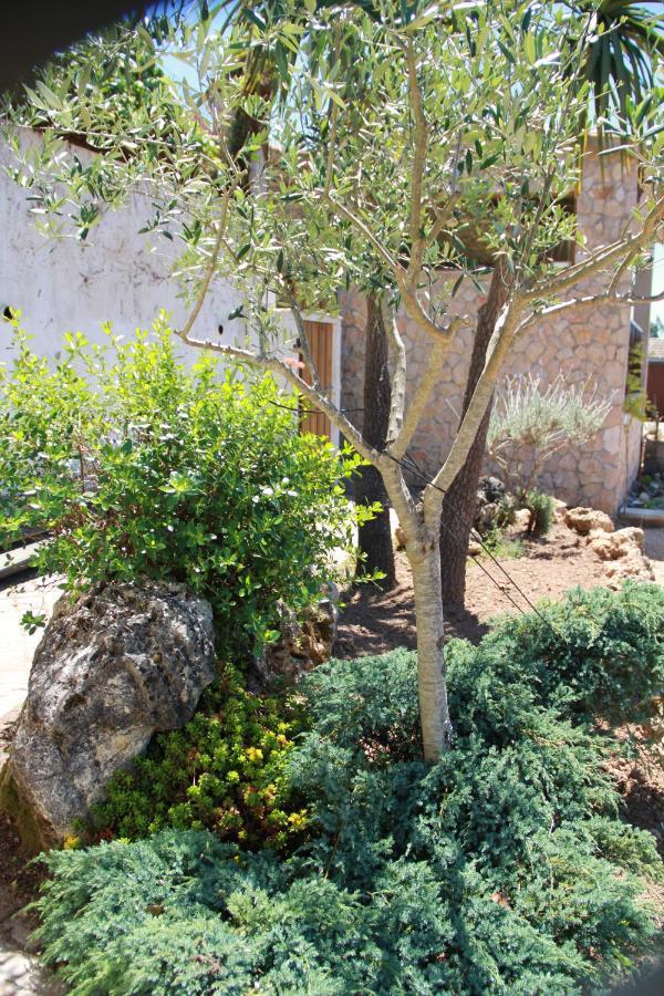 Acolina Holiday home Aguda (Leiria)
