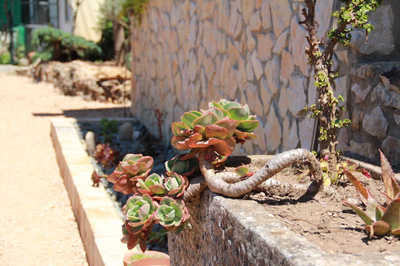 Acolina Holiday home